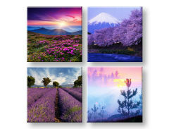 Slike na platnu Everywhere purple 4-dijelni Kolaž XOBKOL21E42