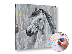 Slikanje brojevima BIJELI golub - mala težina