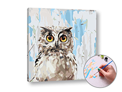 Slikanje po brojevima MUDRA Sova - niske težine