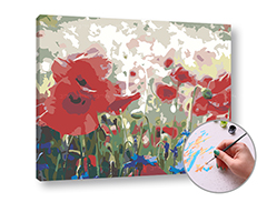 Slikanje brojevima ABSTRACT WILD MAKES - mala težina