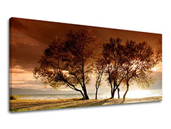 Slike na platnu DRVEĆE Panorama ST026E13