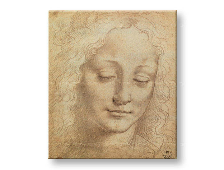 Slika na platnu GLAVA ŽENE 3 – Leonardo Da Vinci