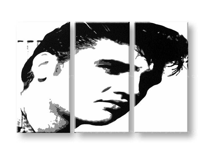 Ručno slikane slike na platnu na platnu POP Art ELVIS 3-dijelna 