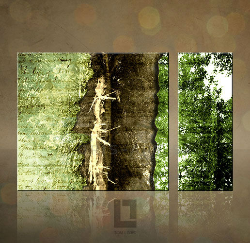>Na Lageru< Umetničke slike Tom Loris Abstract NATURE Popust 33% 90x60 cm 001N2/24h