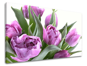 Zidna slika CVIJEĆE TULIPANI XOBKV131E11
