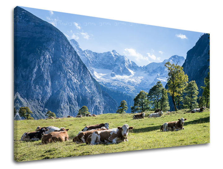 Zidna slika KRAJOLIKA KR005E11