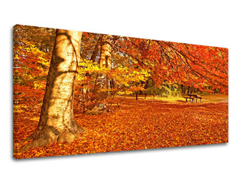 Zidna slika PANORAMA DRVEĆE ST005E13