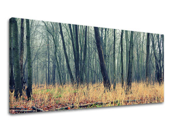 Zidna slika PANORAMA DRVEĆE ST019E13