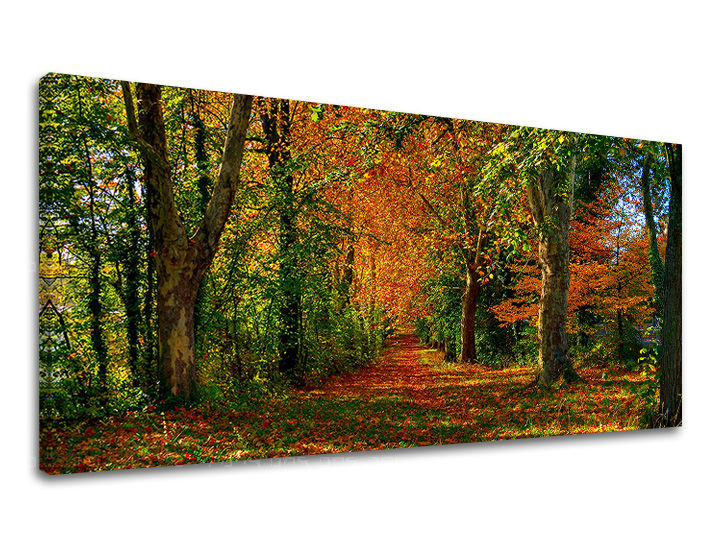 Zidna slika PANORAMA DRVEĆE ST033E13