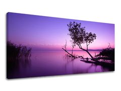 Zidna slika PANORAMA ZAPAD SLNKA 50x100 cm