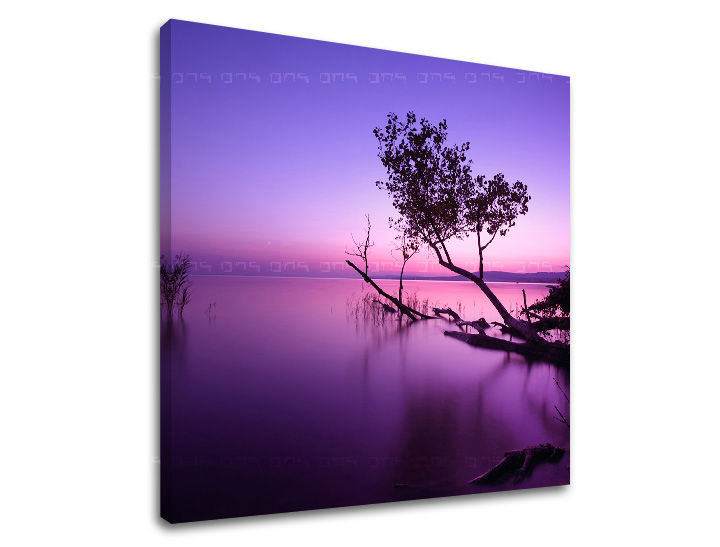 Zidna slika WEST WEST SLNKA ZS006E12